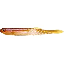 Amazon.co.jp: イッセイ(Issei) AKチャター 13g #04 キンクロ